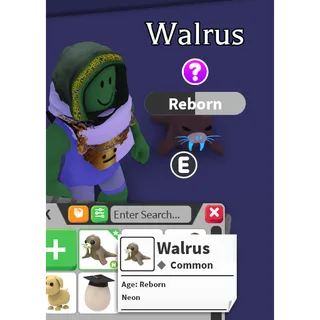 Walrus - Neon / N - Common
