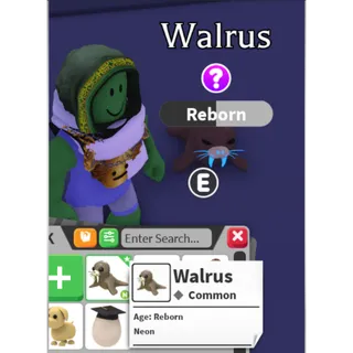 Walrus - Neon / N - Common / Fast delivery!