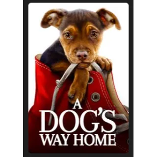 A Dog's Way Home (2019) HD MOVIES ANYWHERE CODE