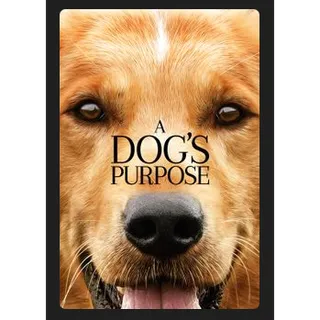 A Dog's Purpose (2017) HD MOVIES ANYWHERE CODE