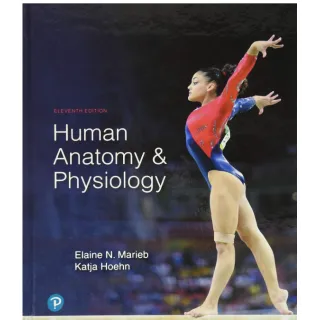 human anatomy and physiology 11th edition 