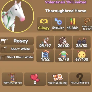 Rosey Thoroughbred