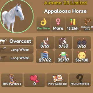 Overcast Appaloosa Horse 