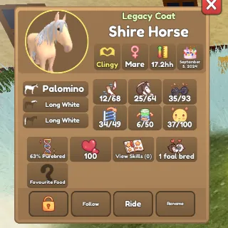 Palomino Shire 