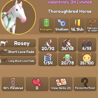 Rosey Thoroughbred Horse