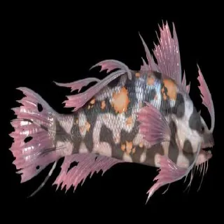 Koi Fester