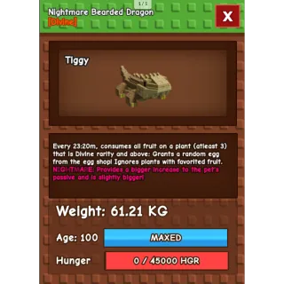 HUGE NIGHTMARE BEARDED DRAGON | 60-61 KG