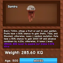 HUGE JELLYFISH | NM / VENOM / EVER 🔥 | 280KG+ | AGE 500