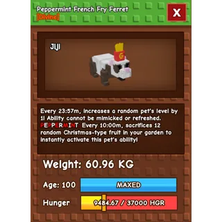 HUGE PEPPERMINT FRENCH FRY FERRET | 60-61 KG | 10 MIN CD NO TOY