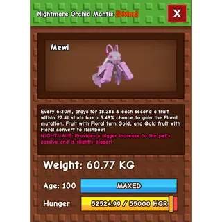 HUGE NIGHTMARE/VENOM ORCHID MANTIS | 60KG - 61KG
