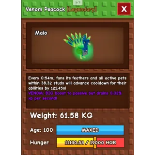 HUGE NIGHTMARE/VENOM PEACOCK | 60-61 KG