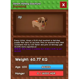 HUGE HOTDOG DASCHUND | NM / VENOM / EVER🔥| 60KG - 61KG