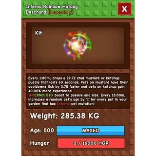 HUGE INFERNO RAINBOW HATCHED HOTDOG DASCHUND 🔥| 280KG+ | AGE 500