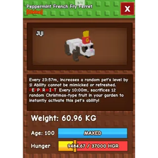 HUGE NIGHTMARE/VENOM PEPPERMINT FRENCH FRY FERRET | 60-61 KG