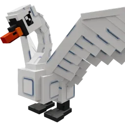 6x Swan 🦢