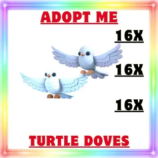 16x Turtle Doves
