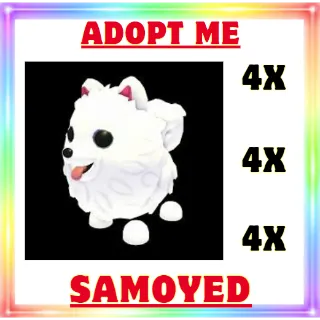 4x Samoyed