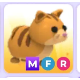 Mfr Ginger Cat