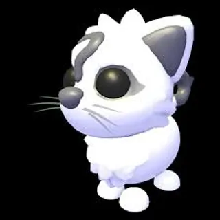 Copy Cat