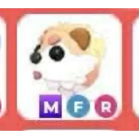 Mfr Cryptid
