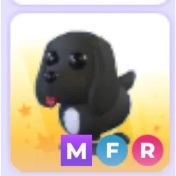 MFR Royal Palace Spaniel