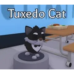 16x Tuxedo Cat