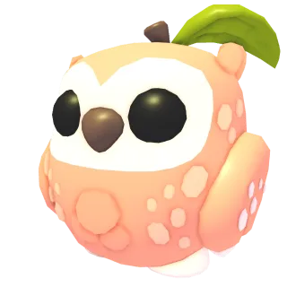 16x Peach Owl