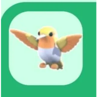 4x Golden Hummingbird