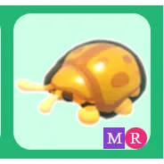 Mega Golden Tortoise Beetle