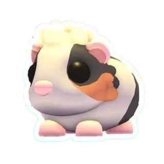 Tortoiseshell Guinea Pig