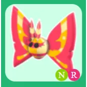 Neon Rosy Maple Moth