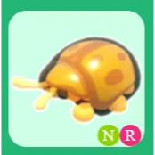 Neon Golden Tortoise Beetle