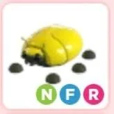 Pet | Nfr Giant Gold Scarab