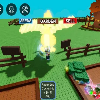 ASCENDED COCKATRICE 6.3KG AGE27