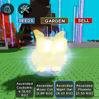 ASCENDED NIGHT OWL 8.45KG AGE41 GAG GROW GARDEN