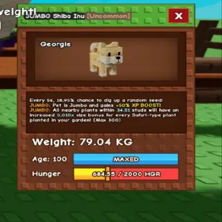 79kg 5s🐶 Jumbo Titan Shiba Inu