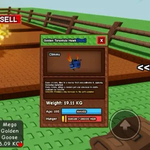 19kg! Golden Tarantula Hawk Age100!!