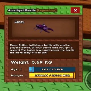 5.69kg! Huge Amethyst Beetle