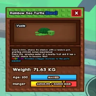 71kg! Semi Titan Rainbow Sea Turtle