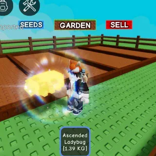 ASCENDED LADYBUG - GROW A GARDEN