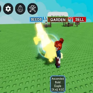 Ascended Bald Eagle Age100