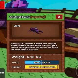 6.12kg Base! Huge Amethyst Beetle