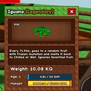 10kg Base Godly Iguana