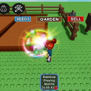 Rainbow Praying Mantis