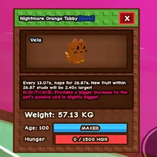 57kg! Huge Orange Tabby Nightmare