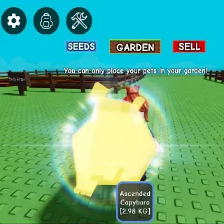 ASCENDED CAPYBARA 2.98KG Age17