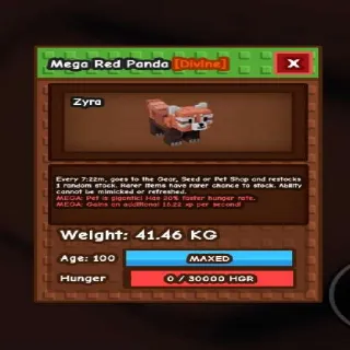 41kg! Semi Huge Red Panda