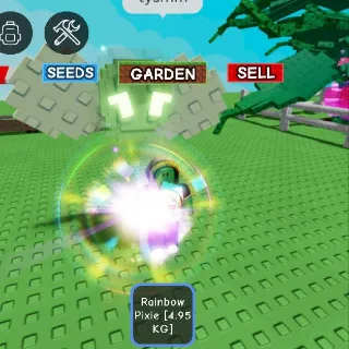 Rainbow Pixie 4.9kg Age20