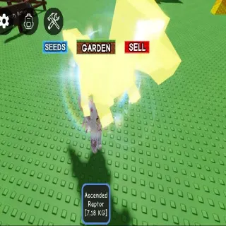 Ascended Raptor 7.18kg Age 60