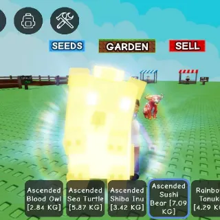 ASCENDED SUSHI BEAR 7KG AGE49